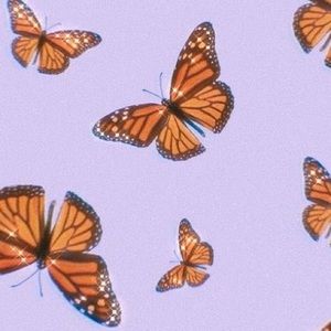 Meet your Posher, Ava